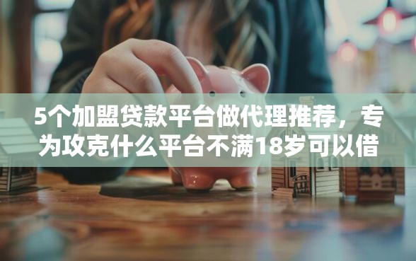 5个加盟贷款平台做代理推荐，专为攻克什么平台不满18岁可以借款的难题