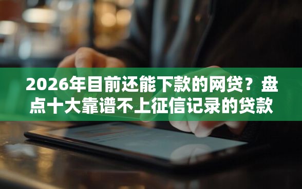 2026年目前还能下款的网贷？盘点十大靠谱不上征信记录的贷款平台