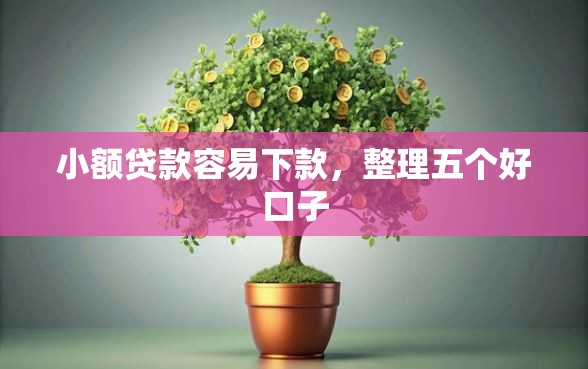 小额贷款容易下款，整理五个好口子