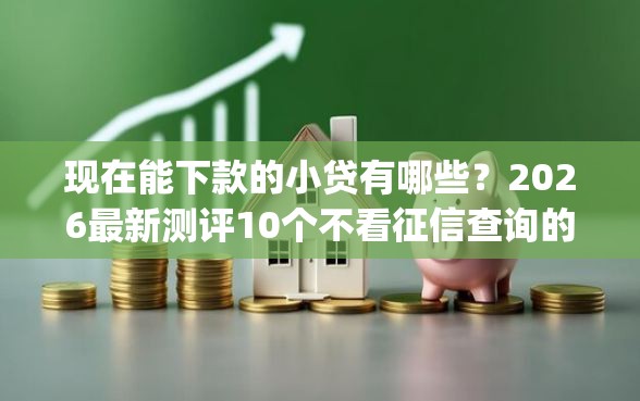 现在能下款的小贷有哪些？2026最新测评10个不看征信查询的app