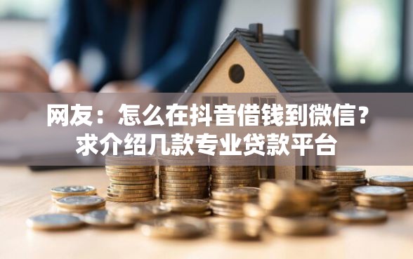 网友：怎么在抖音借钱到微信？求介绍几款专业贷款平台