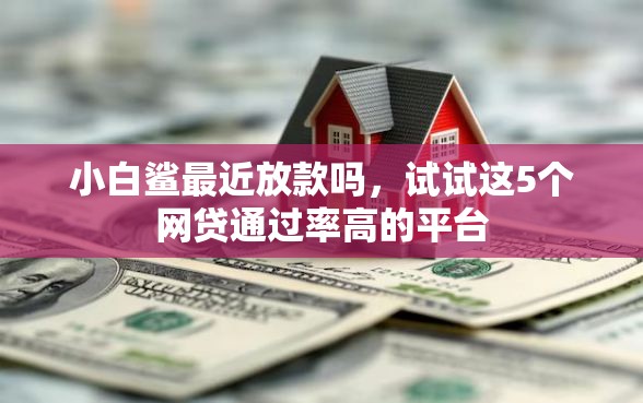 小白鲨最近放款吗，试试这5个网贷通过率高的平台