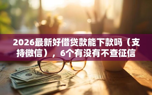 2026最新好借贷款能下款吗（支持微信），6个有没有不查征信的贷款平台无私分享