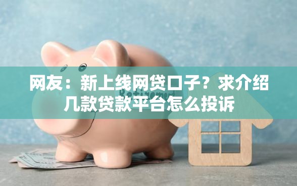 网友：新上线网贷口子？求介绍几款贷款平台怎么投诉