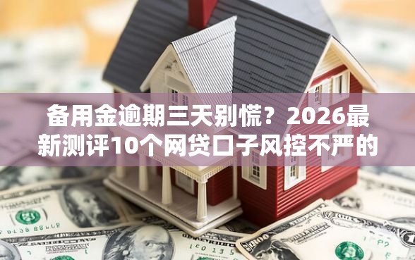 备用金逾期三天别慌？2026最新测评10个网贷口子风控不严的软件