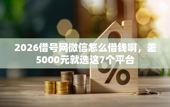 2026借号网微信怎么借钱啊，差5000元就选这7个平台