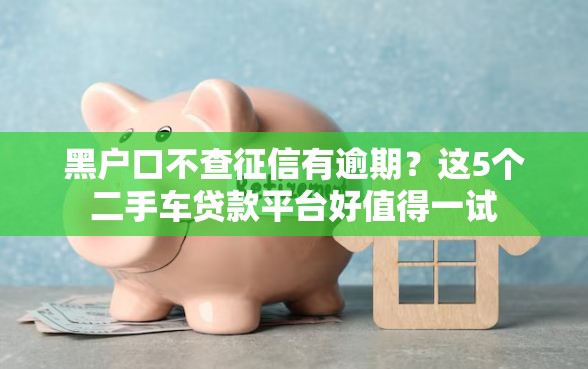 黑户口不查征信有逾期？这5个二手车贷款平台好值得一试