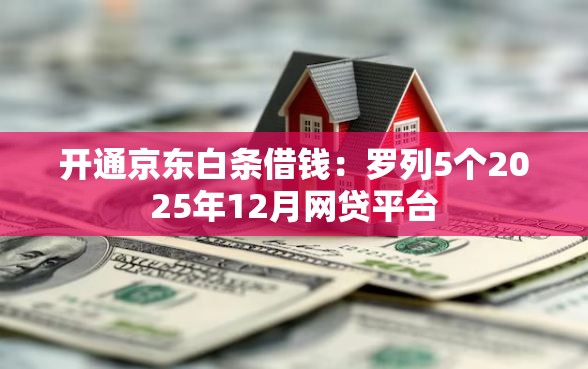 开通京东白条借钱：罗列5个2025年12月网贷平台