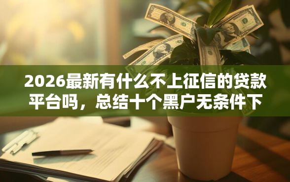 2026最新有什么不上征信的贷款平台吗，总结十个黑户无条件下款的平台！