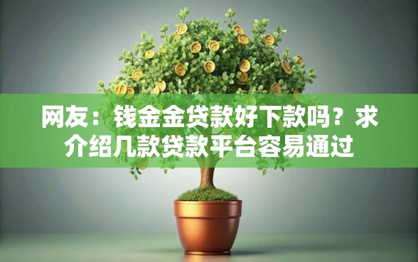 网友：钱金金贷款好下款吗？求介绍几款贷款平台容易通过