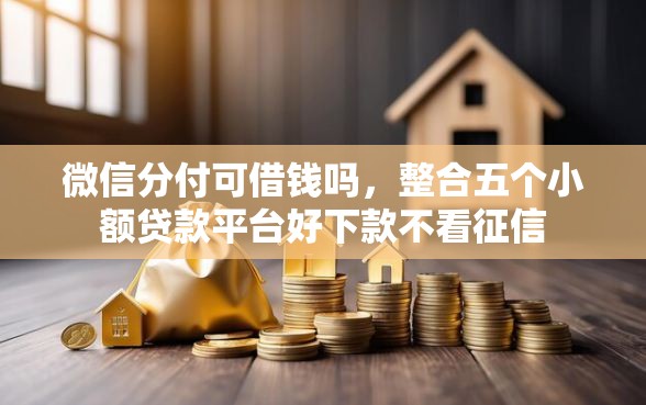微信分付可借钱吗，整合五个小额贷款平台好下款不看征信