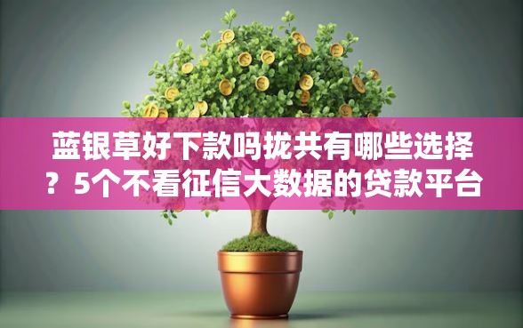 蓝银草好下款吗拢共有哪些选择？5个不看征信大数据的贷款平台详解