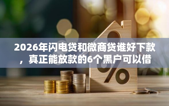 2026年闪电贷和微商贷谁好下款，真正能放款的6个黑户可以借钱的软件推荐