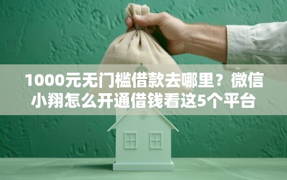 1000元无门槛借款去哪里？微信小翔怎么开通借钱看这5个平台