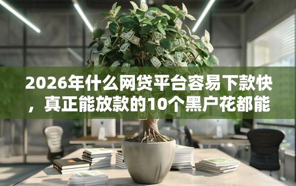 2026年什么网贷平台容易下款快，真正能放款的10个黑户花都能下款的平台啊推荐