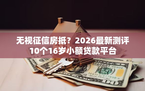 无视征信房抵？2026最新测评10个16岁小额贷款平台