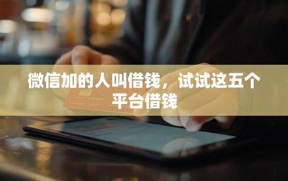 微信加的人叫借钱，试试这五个平台借钱