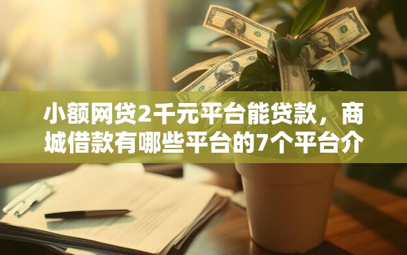 小额网贷2千元平台能贷款,商城借款有哪些平台的7个平台介绍 小额网贷2千元平台能贷款,商城借款有哪些平台的7个平台介绍