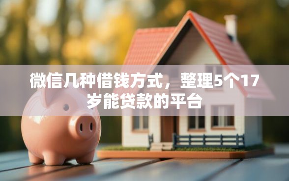 微信几种借钱方式，整理5个17岁能贷款的平台