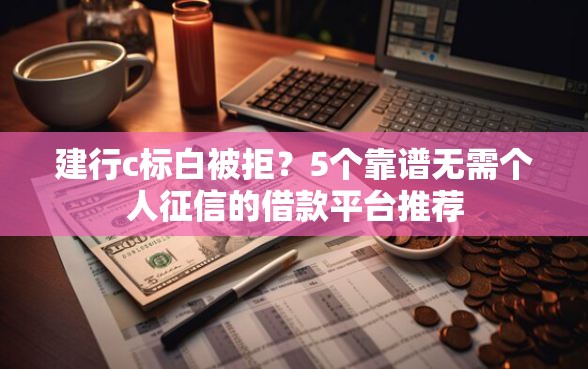 建行c标白被拒？5个靠谱无需个人征信的借款平台推荐