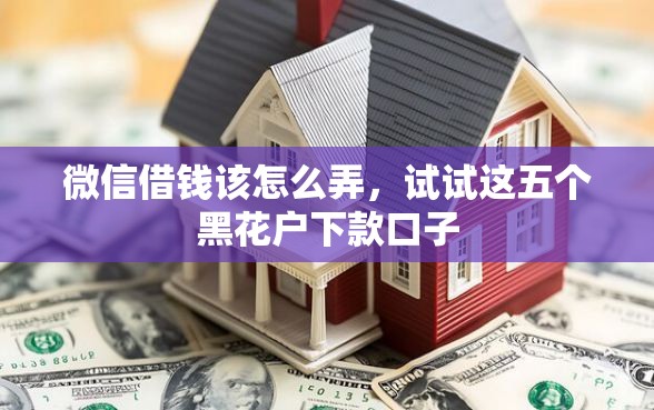 微信借钱该怎么弄，试试这五个黑花户下款口子