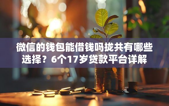 微信的钱包能借钱吗拢共有哪些选择？6个17岁贷款平台详解