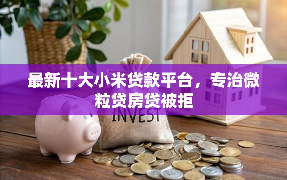 最新十大小米贷款平台，专治微粒贷房贷被拒