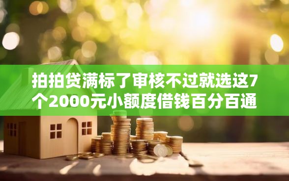 拍拍贷满标了审核不过就选这7个2000元小额度借钱百分百通过的平台