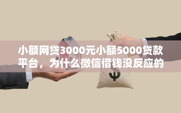 小额网贷3000元小额5000贷款平台，为什么微信借钱没反应的8个平台介绍