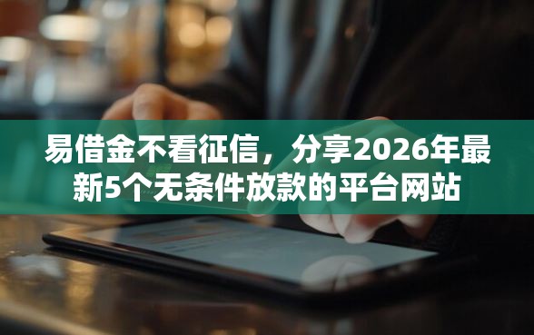 易借金不看征信，分享2026年最新5个无条件放款的平台网站