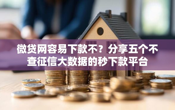 微贷网容易下款不？分享五个不查征信大数据的秒下款平台