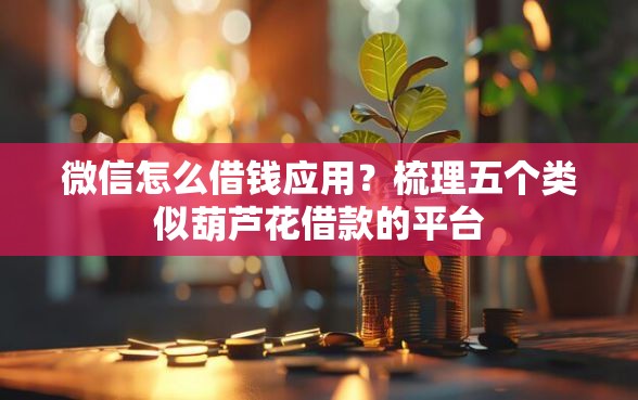 微信怎么借钱应用？梳理五个类似葫芦花借款的平台