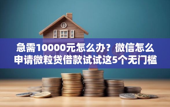 急需10000元怎么办？微信怎么申请微粒贷借款试试这5个无门槛平台