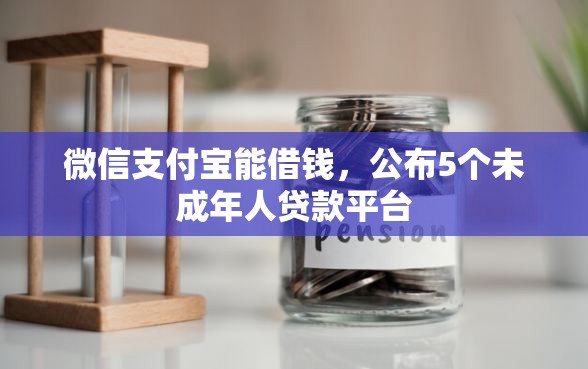 微信支付宝能借钱，公布5个未成年人贷款平台