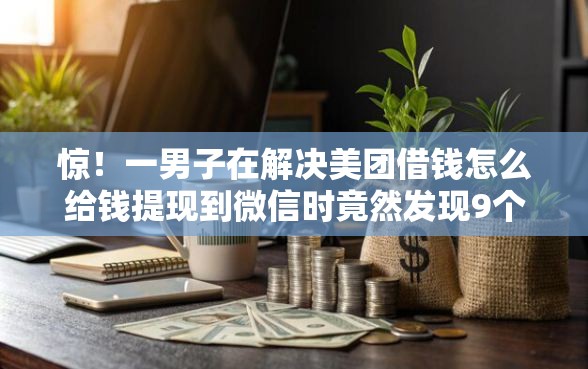 惊！一男子在解决美团借钱怎么给钱提现到微信时竟然发现9个微信有什么借钱平台，事后分享了出来