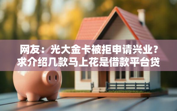 网友：光大金卡被拒申请兴业？求介绍几款马上花是借款平台贷款