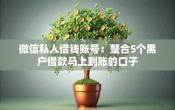 微信私人借钱账号：整合5个黑户借款马上到账的口子