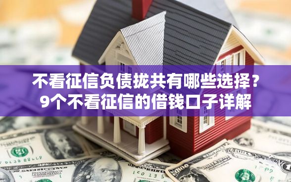 不看征信负债拢共有哪些选择？9个不看征信的借钱口子详解