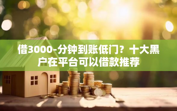 借3000-分钟到账低门？十大黑户在平台可以借款推荐