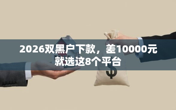 2026双黑户下款，差10000元就选这8个平台