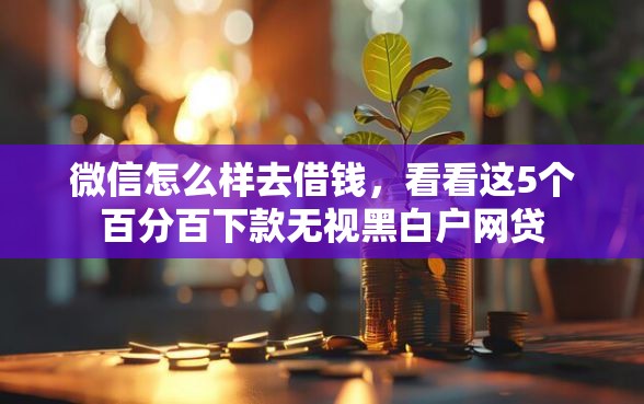 微信怎么样去借钱，看看这5个百分百下款无视黑白户网贷