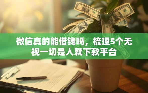 微信真的能借钱吗，梳理5个无视一切是人就下款平台