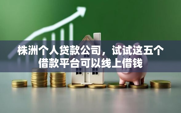 株洲个人贷款公司，试试这五个借款平台可以线上借钱