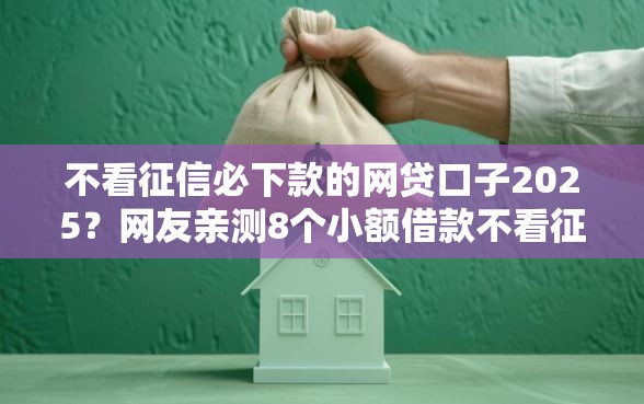 不看征信必下款的网贷口子2025？网友亲测8个小额借款不看征信的平台盘点