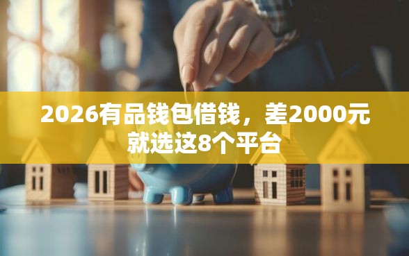 2026有品钱包借钱，差2000元就选这8个平台
