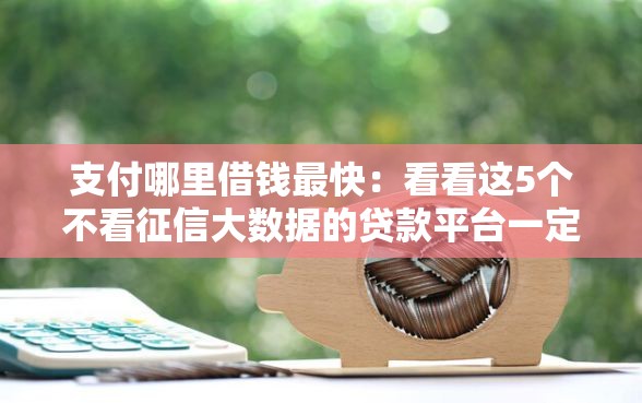支付哪里借钱最快：看看这5个不看征信大数据的贷款平台一定能下款