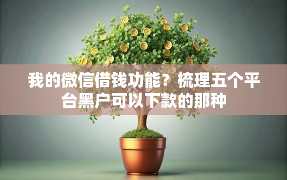 我的微信借钱功能？梳理五个平台黑户可以下款的那种