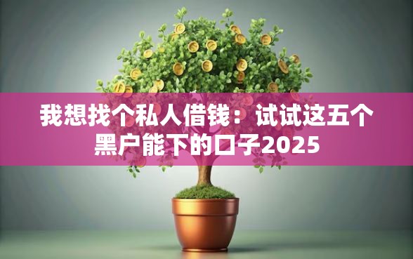 我想找个私人借钱：试试这五个黑户能下的口子2025