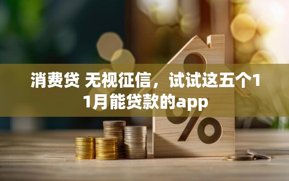 消费贷 无视征信，试试这五个11月能贷款的app
