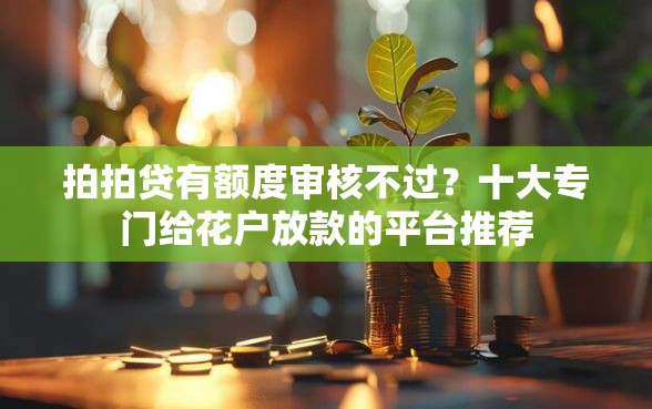 拍拍贷有额度审核不过？十大专门给花户放款的平台推荐